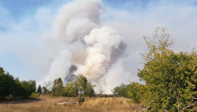 У Чорнобильській зоні горить 14 гектарів лісу