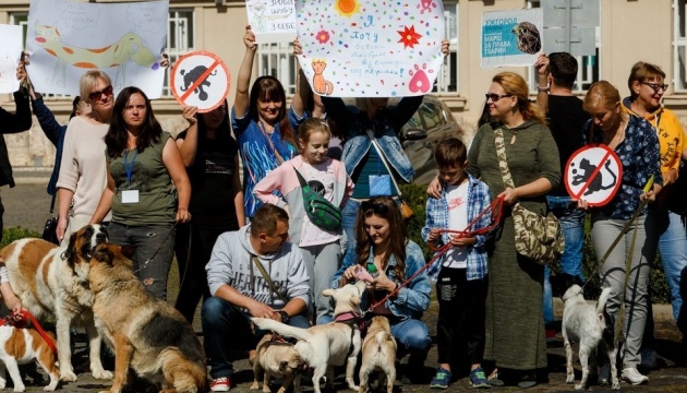 Une marche pour la défense des animaux s’est déroulée dans plusieurs villes ukrainiennes