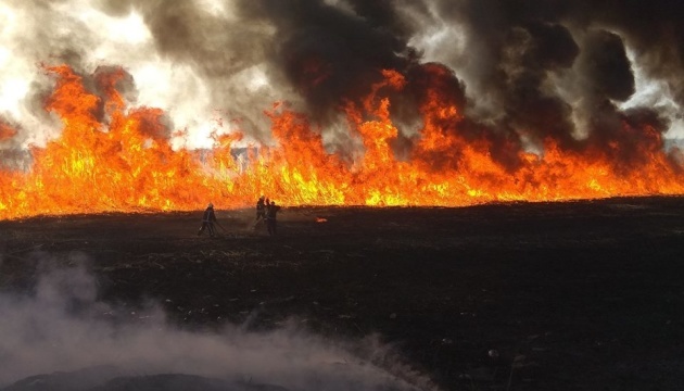 In Oblast Kyjiw Sojaernte auf Fläche von 30 ha ausgebrannt