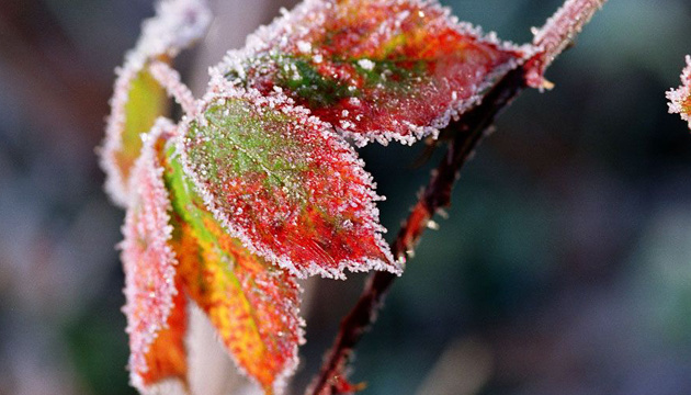 Météo : De fortes gelées sont attendues partout en Ukraine 