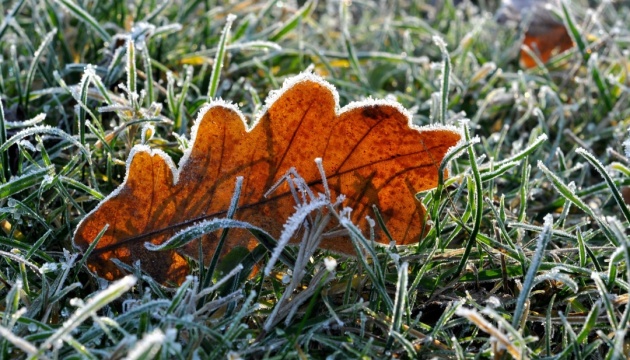 В Україні сьогодні нічні заморозки, вдень до 11° тепла