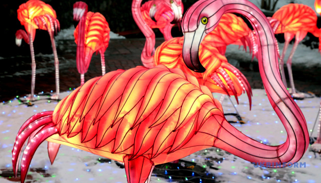 Сад панд и розовые фламинго: Фестиваль китайских фонарей пройдет в Харькове