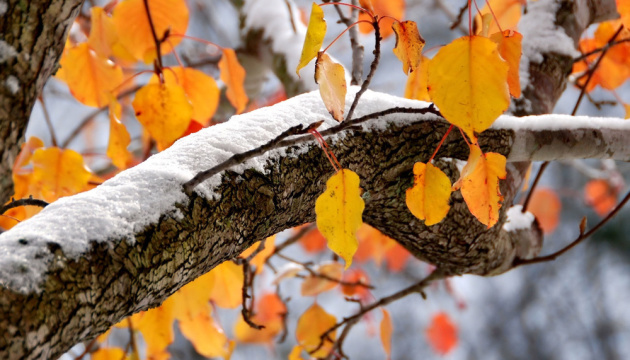 В Україні прогнозують до 7° морозу і сніг на сході