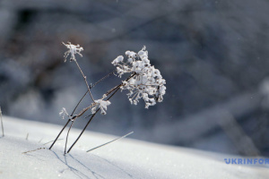 Karpaten mit Schnee bedeckt