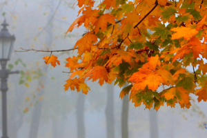 Kyiv dans le brouillard