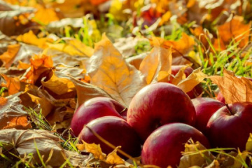 9 жовтня: народний календар і астровісник