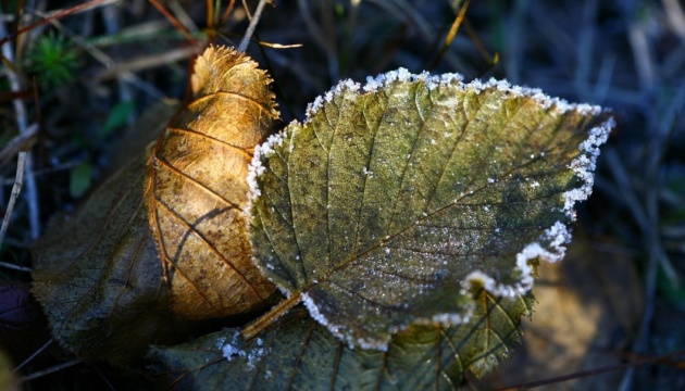 В Україну йдуть перші осінні заморозки