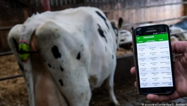 Про отелення своїх корів німецький фермер дізнається із SMS