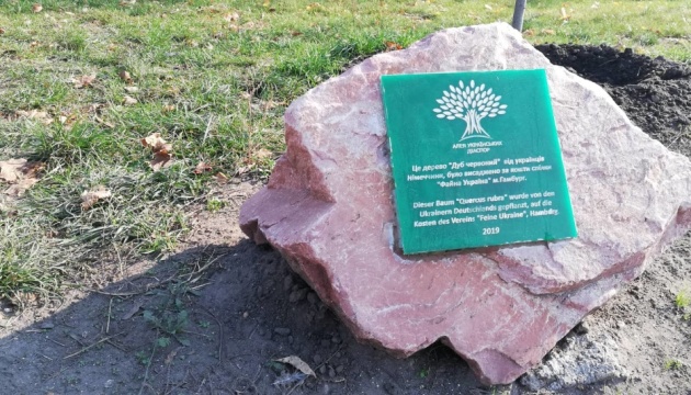 На Алеї українських діаспор висадили нові дерева