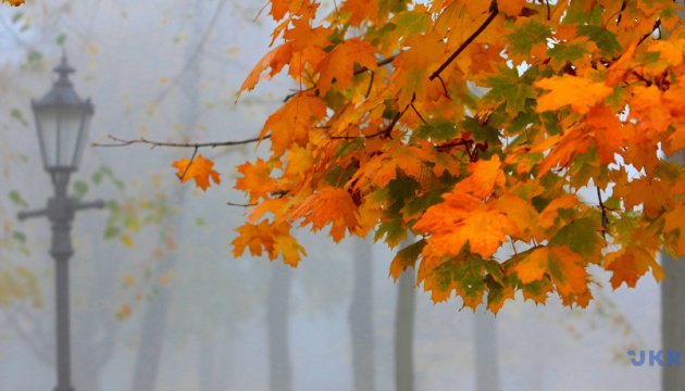 Мороз, тумани і дощі: синоптики сказали, яким буде початок листопада