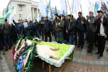 Протестувальники під Радою
