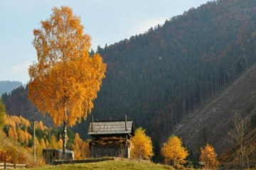 15 листопада: народний календар і астровісник