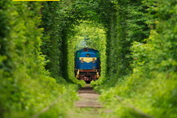 Афіша на День студента: Ukraine WOW,