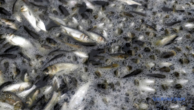 Масову загибель риби в річці Уж розслідує поліція 