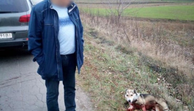 Активісти вимагають розслідувати знущання хмельницького чиновника над собакою