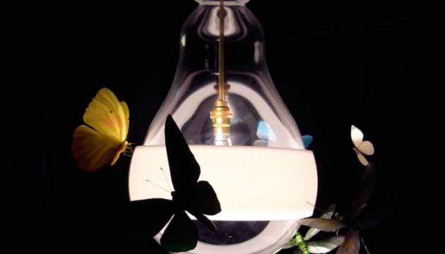 Штучне освітлення вночі може сприяти вимиранню комах