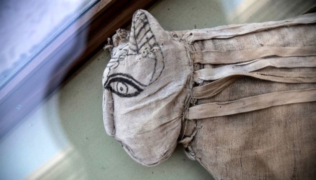 У Єгипті вперше показали мумії тварин зі стародавнього некрополя 