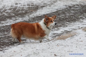 L’hiver est arrivé : Kyiv est sous la neige
