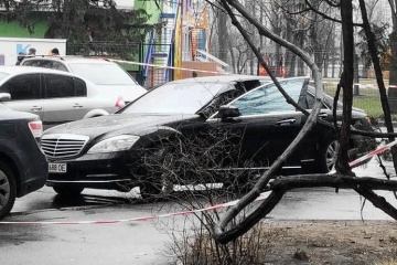 У справі про вбивство київського ювеліра Кисельова завершили слідство