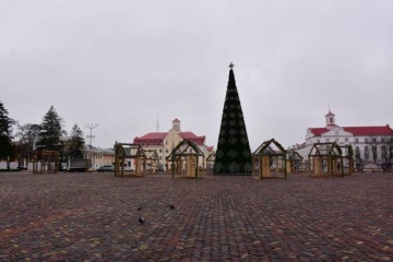 В Чернигове в новогоднем городке запретили использовать лошадей и ослов