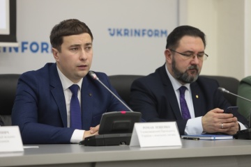 Рада має розробити компромісну редакцію
