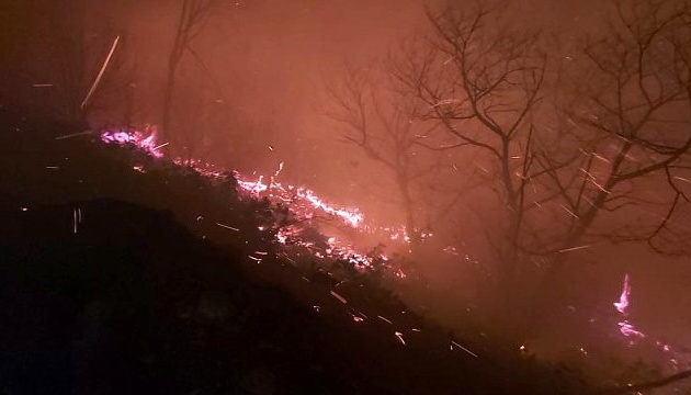 Туреччина потерпає від стихій: на півночі - лісові пожежі, на півдні - повені