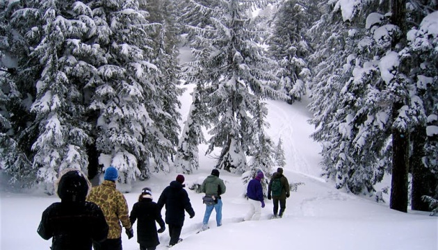 Американський нацпарк пропонує безкоштовні екскурсії на снігоступах