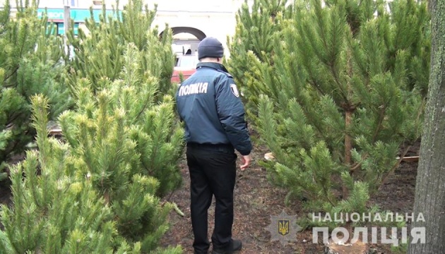 У Києві виписали понад 70 протоколів за “незаконні” ялинки