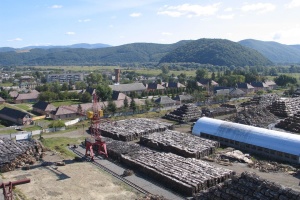 Perechin Timber and Chemical Plant - the features of industrial charcoal production