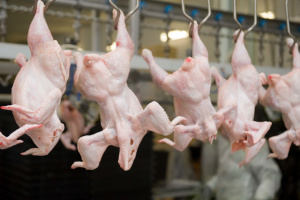 ЕС снял ограничения на ввоз продукции птицеводства из Украины