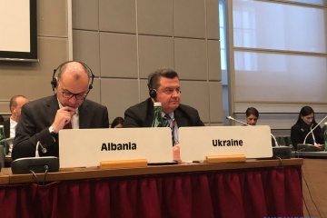 Україна очікує від Туреччини в ОБСЄ більшої уваги до Криму