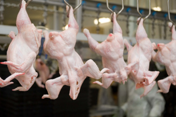 Die Ukraine plant Export von Geflügelfleisch nach Mexiko