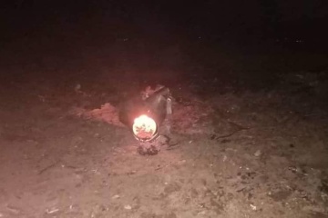 В Алжире разбился военный самолет, есть погибшие