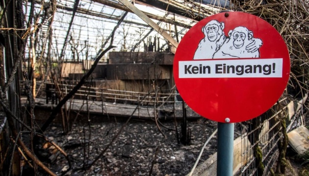 Зоопарк у Німеччині могли підпалити китайські 