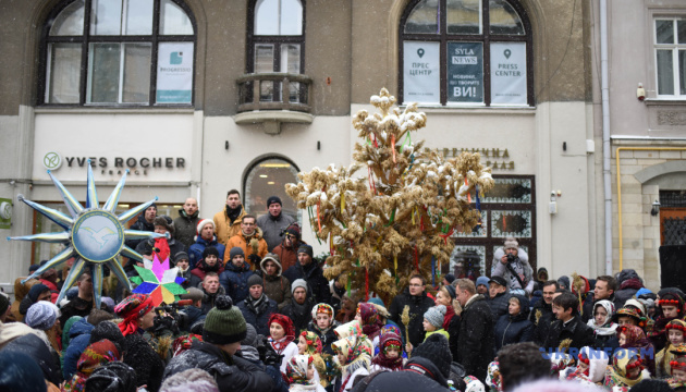 У Львові встановлять понад триметрового різдвяного дідуха