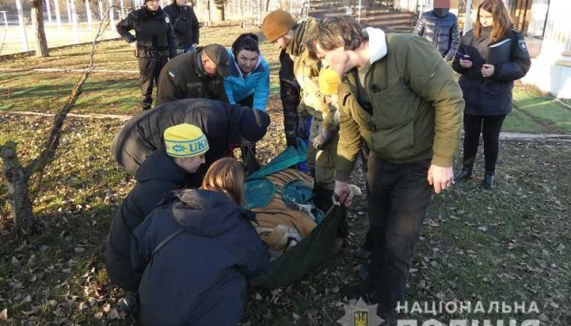 Шістьох тигрів, знайдених на острові Жуків, “прихистили” на Київщині та Харківщині 