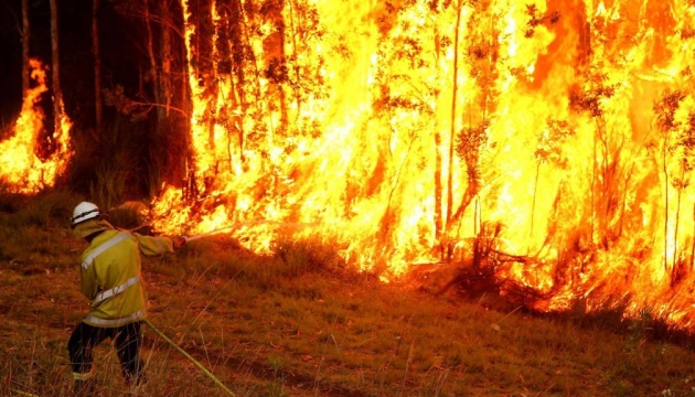 У столиці Австралії оголосили надзвичайний стан через пожежі