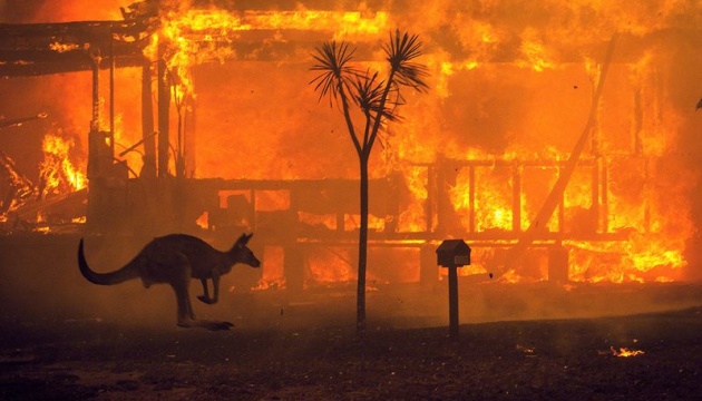 Зміна клімату збільшила ризик пожеж в Австралії на третину - вчені