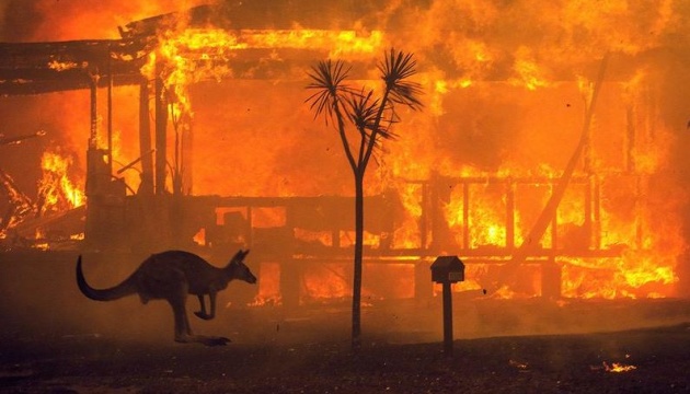 Українці Австралії зібрали $54 тисячі для постраждалих від лісових пожеж