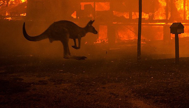 Пожежі в Австралії: бездумність людей і велич людської самопожертви