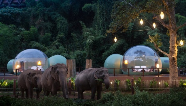 У Таїланді туристи можуть переночувати в компанії зі слонами 