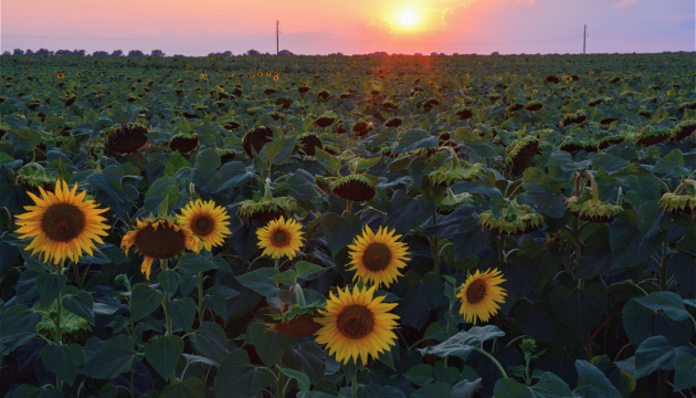 Ukrainian agricultural land reform will have global significance - agrarian policy minister 