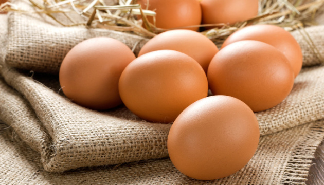 Egg production in Ukraine grows by 3.4% in 2019