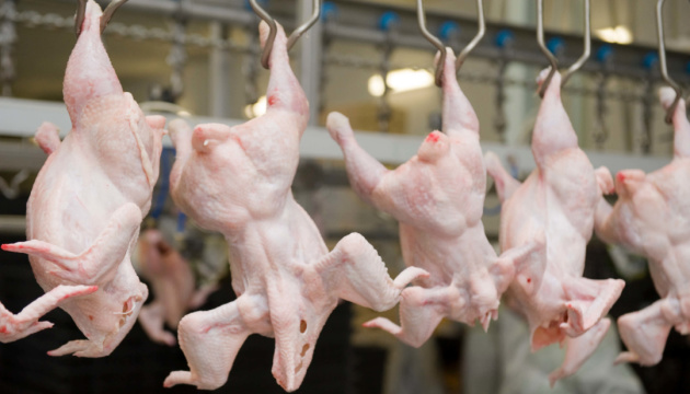 Украина может войти в семерку крупнейших экспортеров мяса птицы