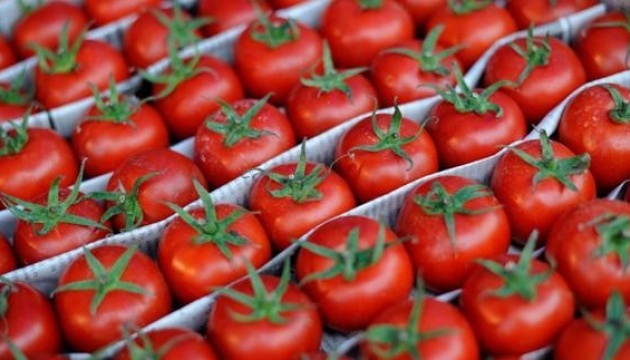 Україна увійшла до трійки найбільших імпортерів турецьких томатів