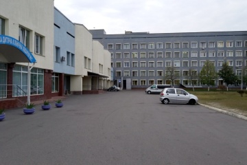 Дворічний хлопчик проковтнув частину пластикової іграшки й помер у столичній лікарні