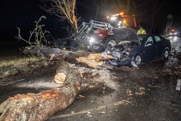 У Швеції понад 15 тисяч осіб залишилися без світла через шторм