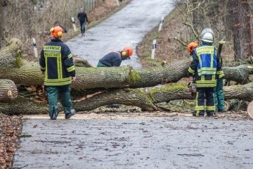 Буревій “Сабіна” у Німеччині валить дерева і зриває дахи, є жертви
