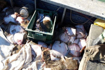Россия до сих пор официально не сообщила о задержании украинских рыбаков
