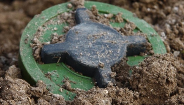 На Луганщині СБУ викрила схрон бойовиків із протипіхотними мінами